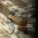 Affiche de l'anatomie du disque de volume