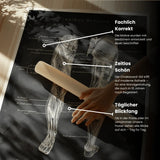 Anatomie des muscles des jambes - Tableau