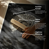 Cerveau en coupe sagittale - Tableau