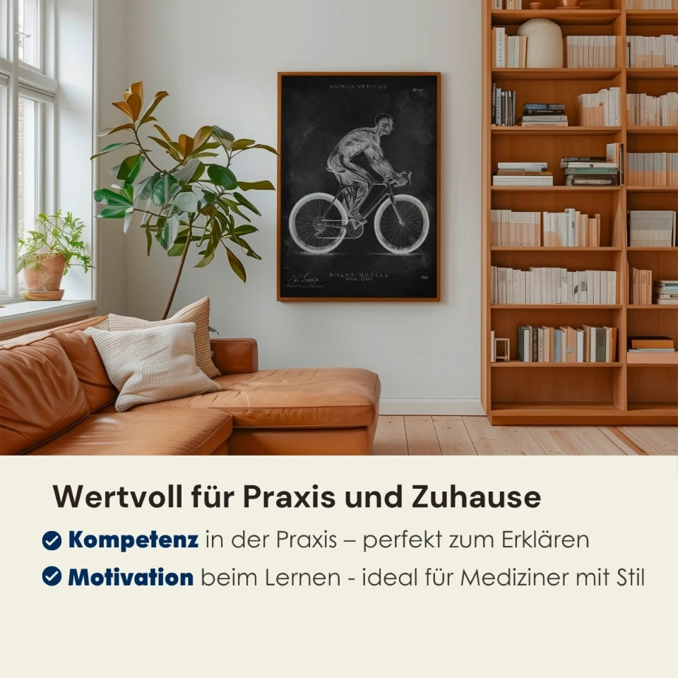 Rennrad Fahrer Anatomie - Chalkboard - Animus Medicus