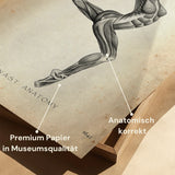 Poster d'anatomie de la gymnastique II