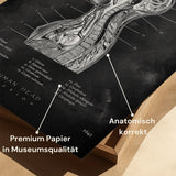 Anatomie du thorax - Tableau noir