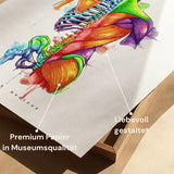 Anatomie du dos - Arc-en-ciel