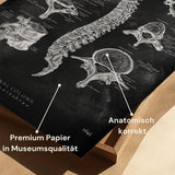 Anatomie des vertèbres - Tableau noir