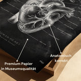 Anatomie du cœur - Tableau noir
