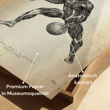 Poster Anatomie du Basket-ball