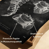 Hernie discale anatomie - Tableau