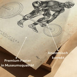 Poster Anatomie du Soulevé de Terre