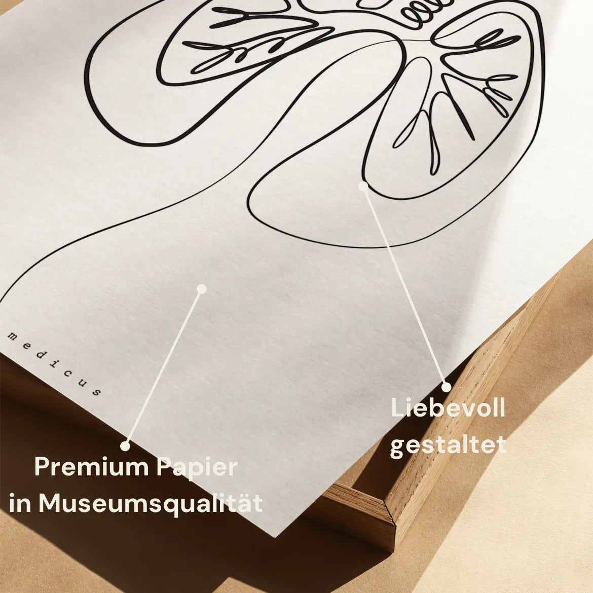 Anatomie Minimaliste des Poumons