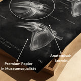 Conflit sous-acromial - Chalkboard