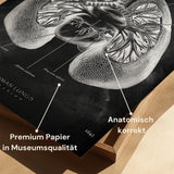 Anatomie des poumons - Tableau noir