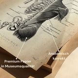 Anatomie du dos | Os et muscles