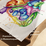 Cœur en coupe Anatomie - Arc-en-ciel