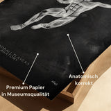 Poster Anatomie du Handball - Tableau Noir