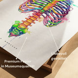 Anatomie du thorax - Arc-en-ciel
