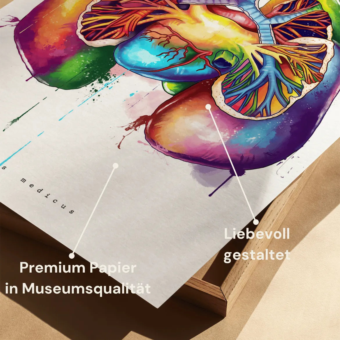 Anatomie des poumons - Arc-en-ciel