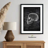 Anatomie des os du crâne - Tableau