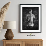 Anatomie du dos | Os et muscles - Tableau