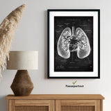 Anatomie des poumons - Tableau
