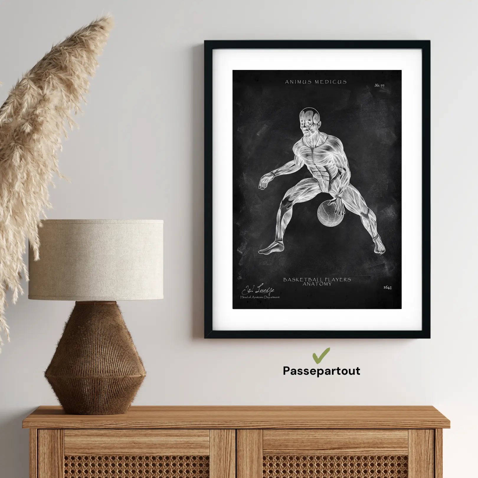 Affiche d'anatomie du basket-ball - Tableau noir