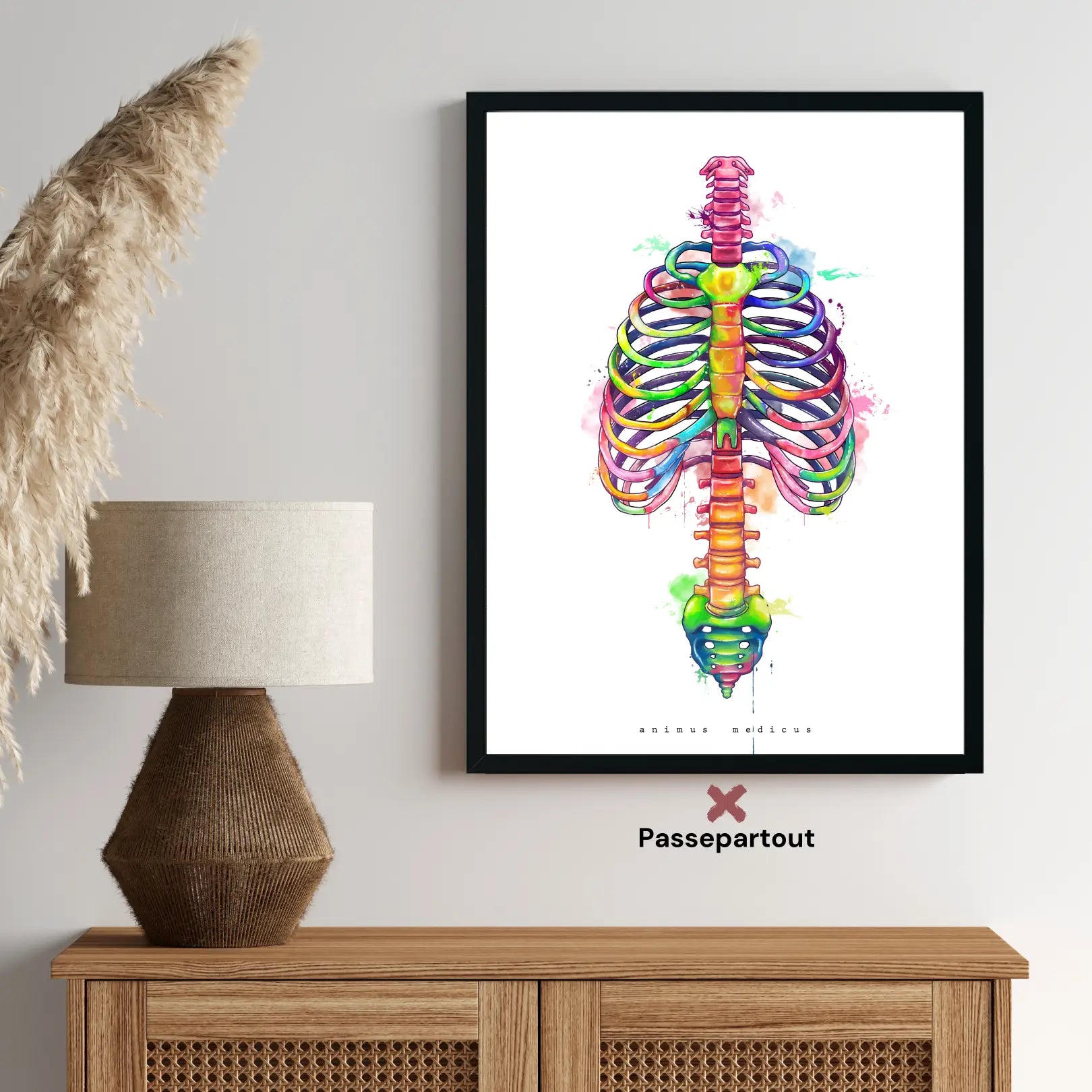 Anatomie du thorax - Arc-en-ciel