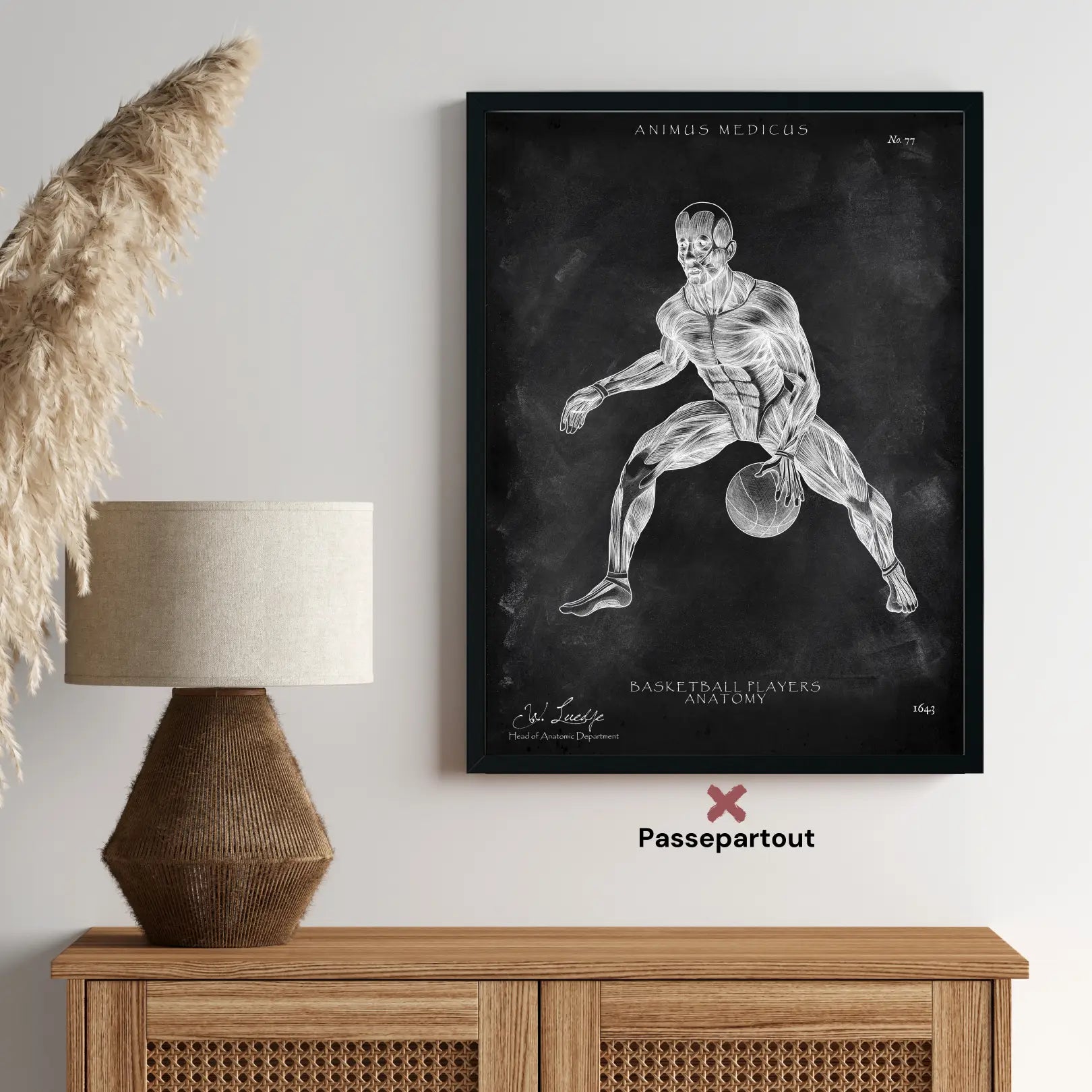 Affiche d'anatomie du basket-ball - Tableau noir