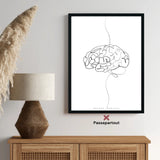 Anatomie du cerveau minimaliste