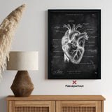 Anatomie du coeur - Tableau