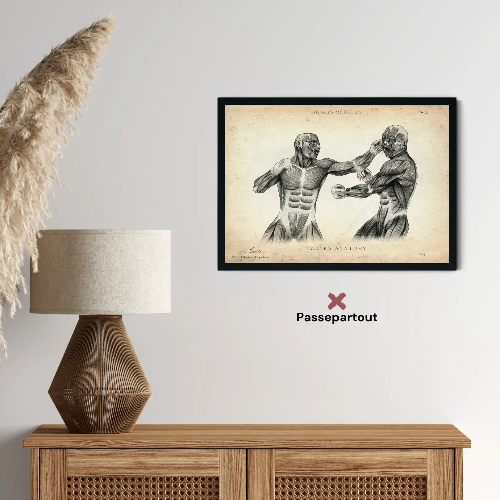 Affiche d'anatomie du boxeur