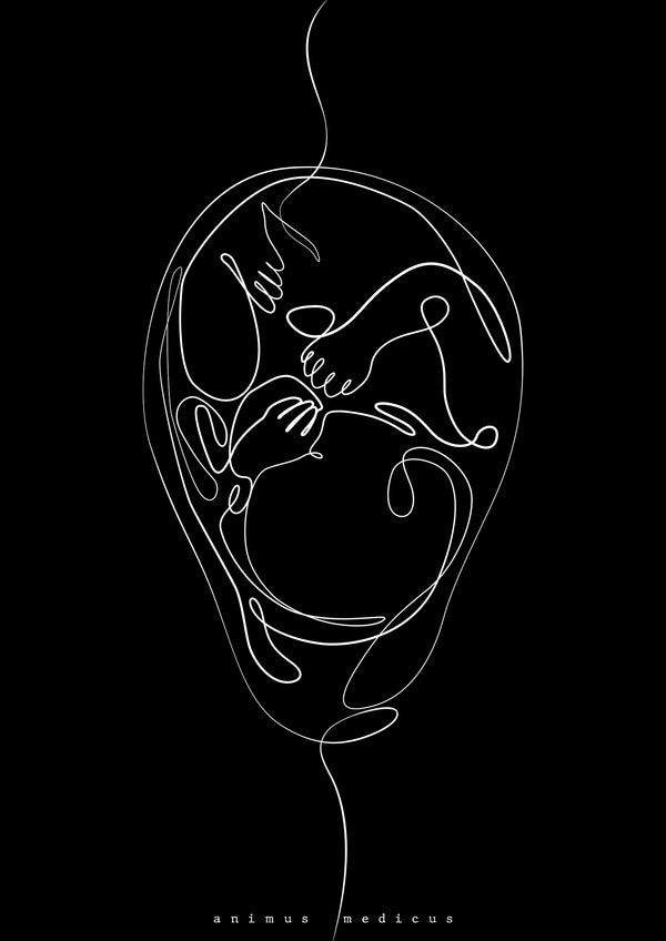 Fetus Anatomie Minimalist Dark