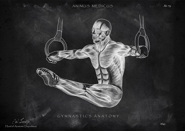 Turnen Anatomie Poster - Chalkboard