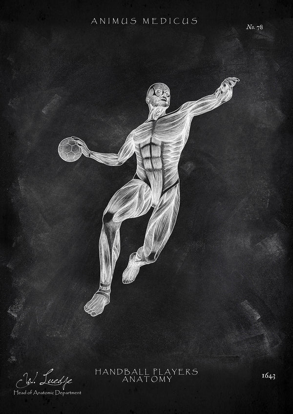 Handball Anatomie Poster - Chalkboard