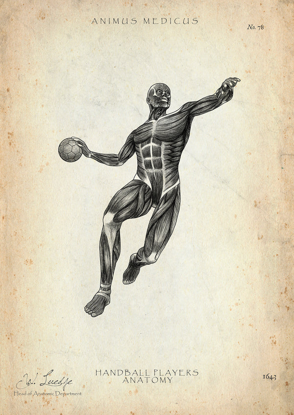 Handball Anatomie Poster