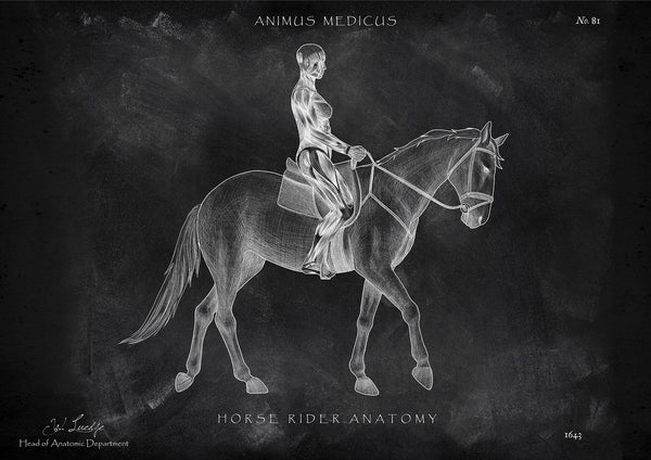 Reiten Anatomie Poster - Chalkboard