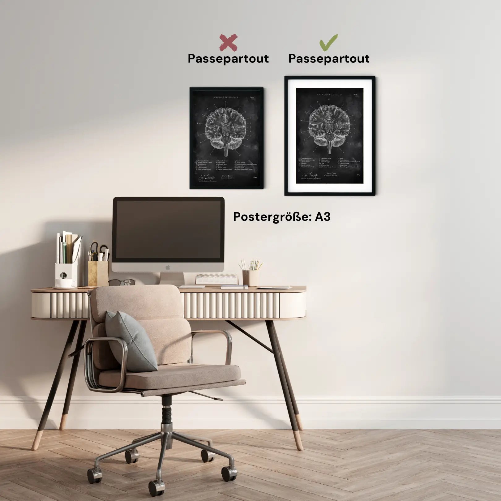 Structure du cerveau en section - tableau