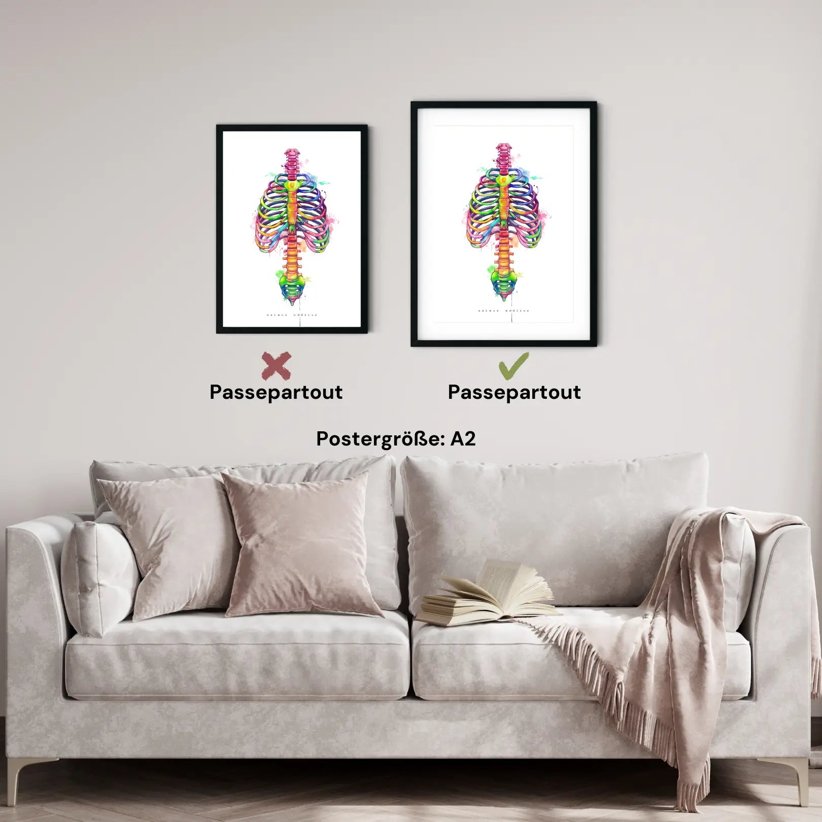 Anatomie du thorax - Arc-en-ciel