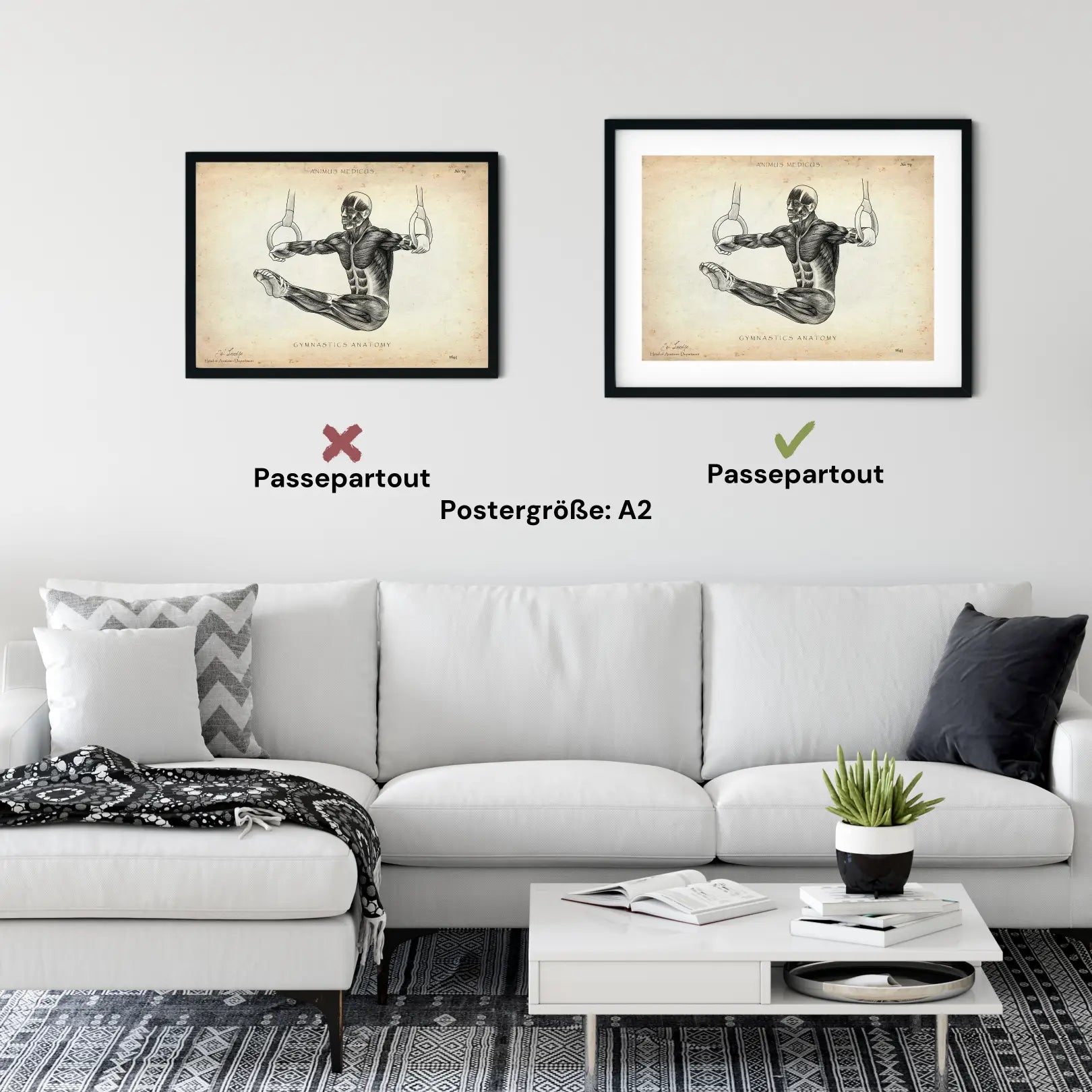 Affiche d'anatomie de gymnastique