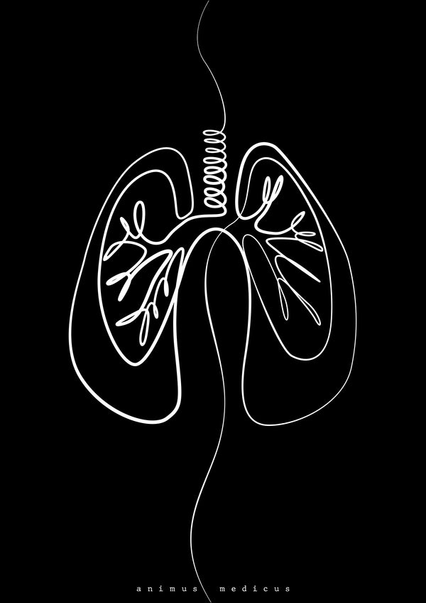 Lungen Anatomie Minimalist Dark