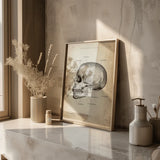 Anatomie du crâne