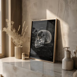 Anatomie du crâne - Tableau noir