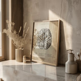 Le cerveau humain