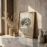 Cerveau en coupe sagittale