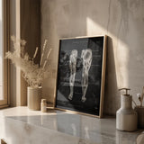 Anatomie des muscles des jambes - Tableau