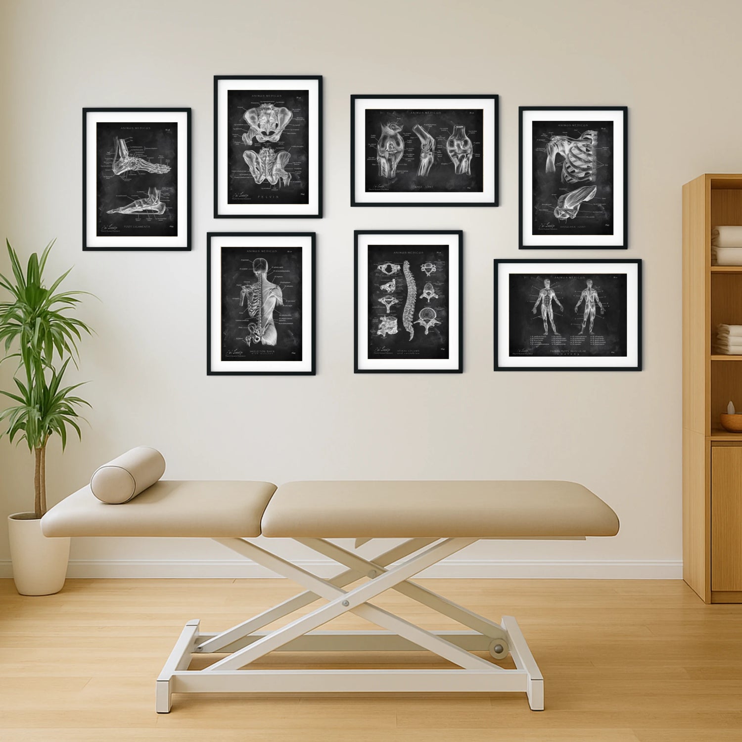 Physio Praxis Starter-Set - Chalkboard