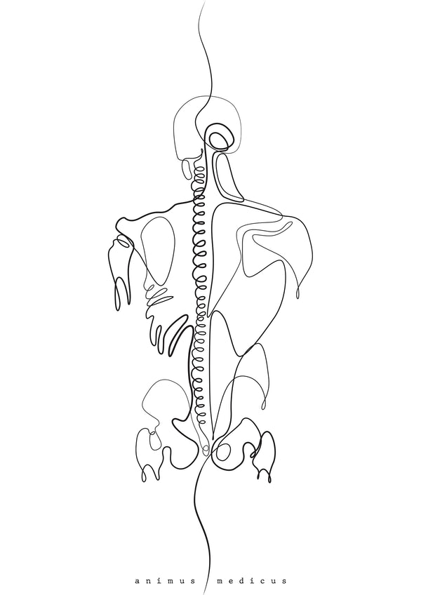 Rücken Anatomie Minimalist