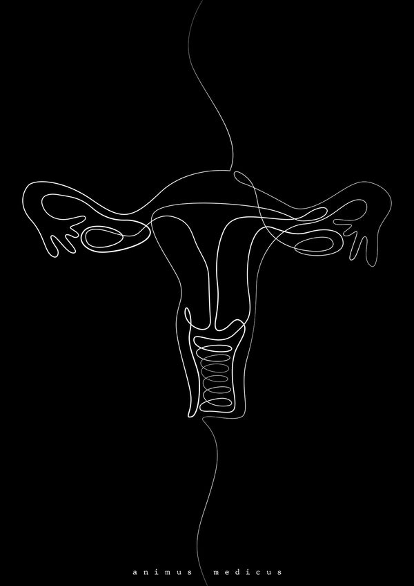 Uterus Anatomie Minimalist Dark