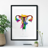 Anatomie de l'utérus - Arc-en-ciel