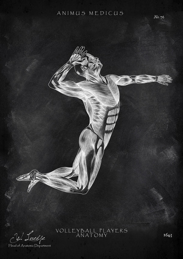 Volleyball Anatomie Poster - Chalkboard
