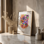 Abdomen Anatomie - Rainbow - Animus Medicus GmbH