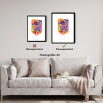 Abdomen Anatomie - Rainbow - Animus Medicus GmbH